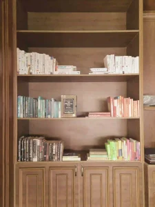 Rainbow book shelves