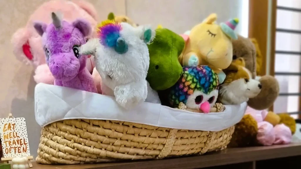 Kid's Room Organizing